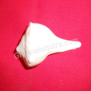 DakshinaVarti (Right Handed) Vishnu Shankh