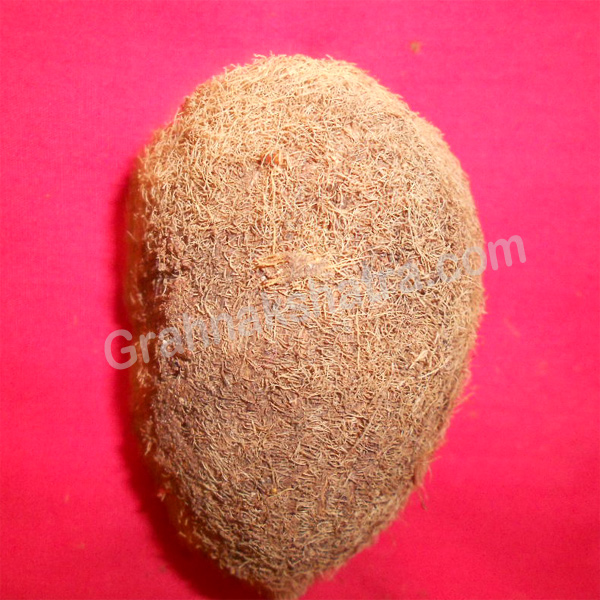 Ekakshi Nariyal One Eye Coconut